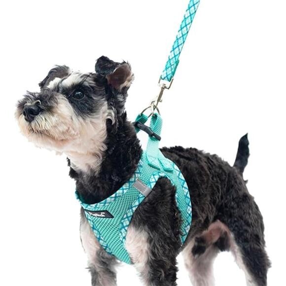 Dog Harness and Leash Set for Small Medium Dogs No Pull Step-in Soft Mesh Vest - Picture 7 of 7
